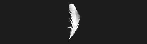 Thick Quill brush stroke preview from Realistic Feathers for Procreate