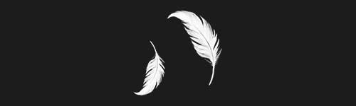 Double Feather brush stroke preview from Realistic Feathers for Procreate