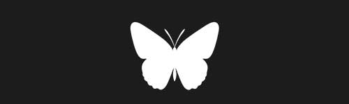 Butterfly 15 brush stroke preview from Pretty Butterflies for Procreate