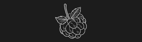 Cloudberry brush stroke preview from Fruit Sketches for Procreate