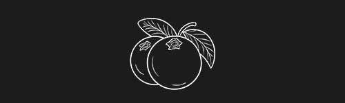 Cranberry brush stroke preview from Fruit Sketches for Procreate