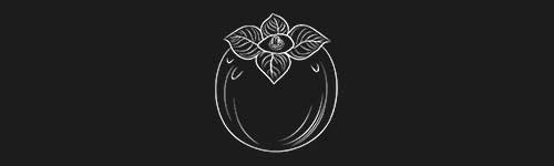 Persimmon brush stroke preview from Fruit Sketches for Procreate