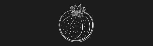 Pomegranate 2 brush stroke preview from Fruit Sketches for Procreate