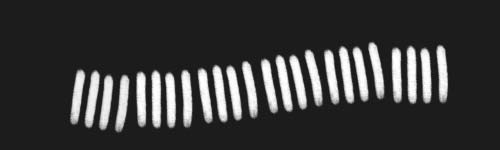 Hatching Lines brush stroke preview from Dynamic Hatching for Procreate