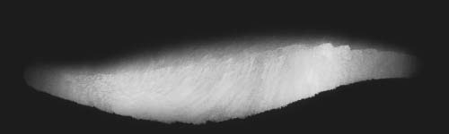 Dried Petal brush stroke preview from Watercolor Whispers for Procreate
