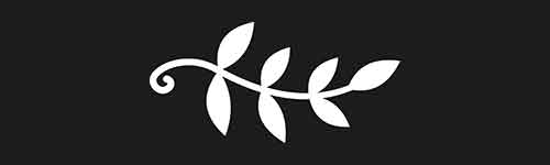 Botanical 14 brush stroke preview from Lettering Ornaments for Procreate