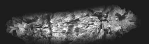 Woodland Veins brush stroke preview from Alcoholic Aesthetic for Procreate