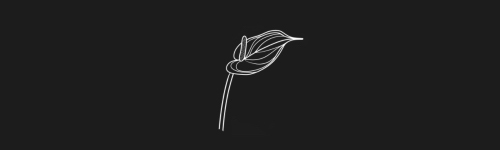Anthurium Right brush stroke preview from Flower Stamps Vol.1 for Procreate