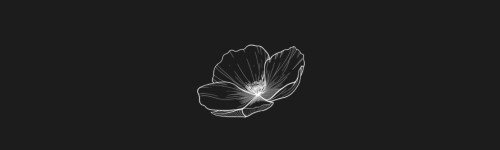 Buttercup brush stroke preview from Flower Stamps Vol.1 for Procreate