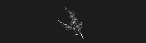 Cherry Blossom brush stroke preview from Flower Stamps Vol.1 for Procreate
