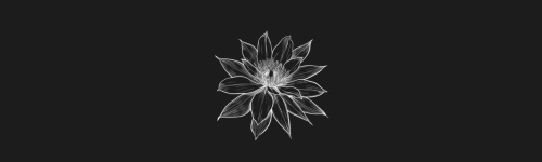Epiphyllum brush stroke preview from Flower Stamps Vol.1 for Procreate