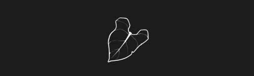 Heart Leaf brush stroke preview from Botanical Stamps for Procreate