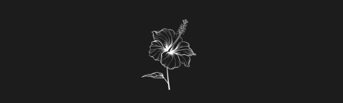 Hibiscus brush stroke preview from Flower Stamps Vol.1 for Procreate