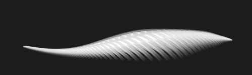 Spine Trace brush stroke preview from Floral Dance for Procreate