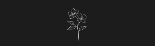 Jasmine brush stroke preview from Flower Stamps Vol.2 for Procreate