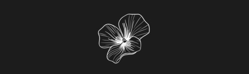 Pansy brush stroke preview from Flower Stamps Vol.2 for Procreate