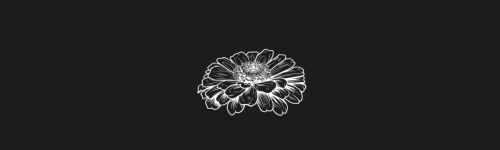 Zinnia brush stroke preview from Flower Stamps Vol.2 for Procreate