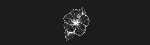 Hibiscus brush stroke preview from Flower Stamps Vol.3 for Procreate
