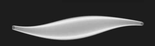 Whale Static brush stroke preview from Spray Ritual for Procreate