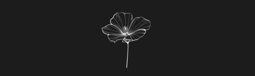 Malva brush stroke preview from Flower Stamps Vol.3 for Procreate