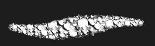 Bloom Hard brush stroke preview from Spongy Veil for Procreate