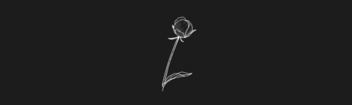 Peony brush stroke preview from Flower Stamps Vol.3 for Procreate