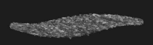 Fleck Storm brush stroke preview from Sponge Patterns for Procreate
