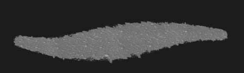 Porous Glow brush stroke preview from Sponge Patterns for Procreate