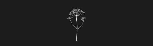 Queen Annes brush stroke preview from Flower Stamps Vol.3 for Procreate
