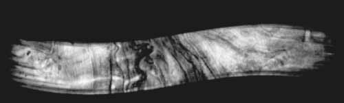 Wild Bark brush stroke preview from Easy Campfire for Procreate