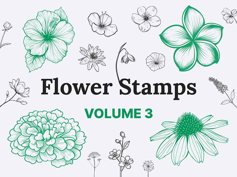 Flower Stamps Vol.3 Procreate brush pack preview