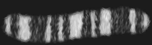 Fluffy Stripes 4 brush stroke preview from Fur Brushes for Procreate
