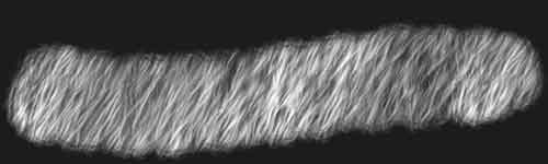 Bear Fur 1 brush stroke preview from Fur Brushes for Procreate