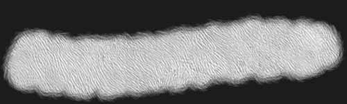 Short Fur 1 brush stroke preview from Fur Brushes for Procreate