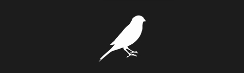 Canary brush stroke preview from Bird Silhouettes for Procreate