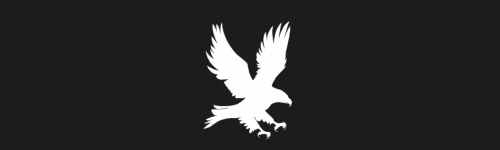 Eagle 1 brush stroke preview from Bird Silhouettes for Procreate
