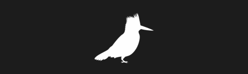Kingfisher brush stroke preview from Bird Silhouettes for Procreate