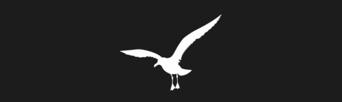 Seagull 2 brush stroke preview from Bird Silhouettes for Procreate