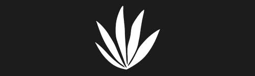 Organic 1 brush stroke preview from Boho Shapes for Procreate