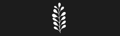 Organic 3 brush stroke preview from Boho Shapes for Procreate