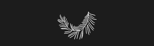 Organic 9 brush stroke preview from Boho Shapes for Procreate