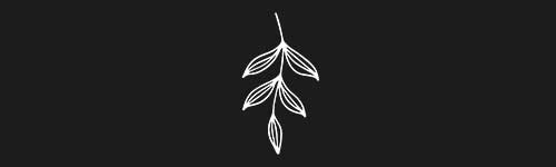 Organic 16 brush stroke preview from Boho Shapes for Procreate