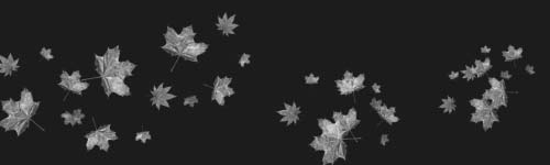 Leaves 3 brush stroke preview from Autumn Brushes for Procreate