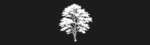 Birch 1 brush stroke preview from Tree Stamps for Procreate