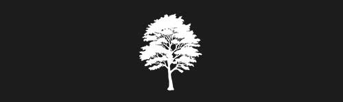 Birch 2 brush stroke preview from Tree Stamps for Procreate