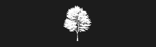 Birch 3 brush stroke preview from Tree Stamps for Procreate