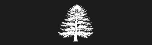 Cedar 3 brush stroke preview from Tree Stamps for Procreate
