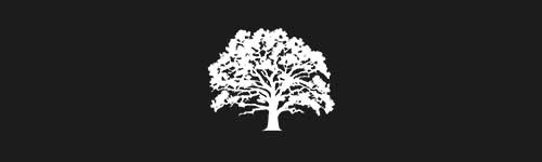 Elm 6 brush stroke preview from Tree Stamps for Procreate