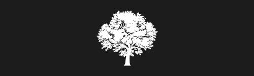 Elm 7 brush stroke preview from Tree Stamps for Procreate