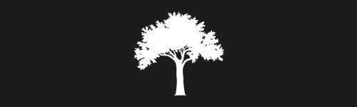Elm 10 brush stroke preview from Tree Stamps for Procreate